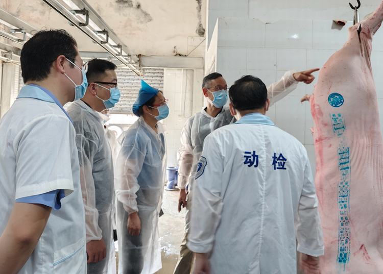 市疫控中心开展基层官方兽医沉浸式体验活动