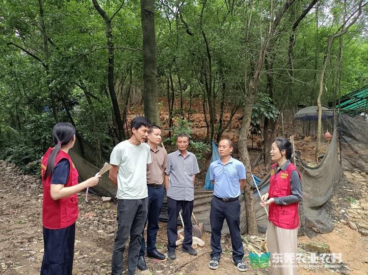 闻“汛”出击护安全，兽医“轻骑兵”巡查排险防疫病