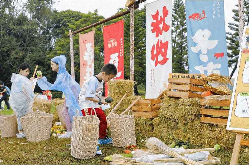 奔赴自然“集市”之约！松山湖多彩科普课堂火热开“播”
