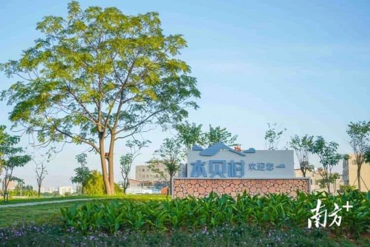东莞石排水贝村：“美丽庭院”焕新姿