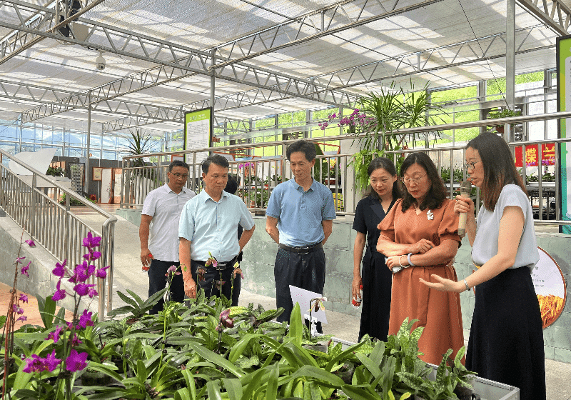 市妇联赴市农科中心开展“美丽庭院”共建交流活动