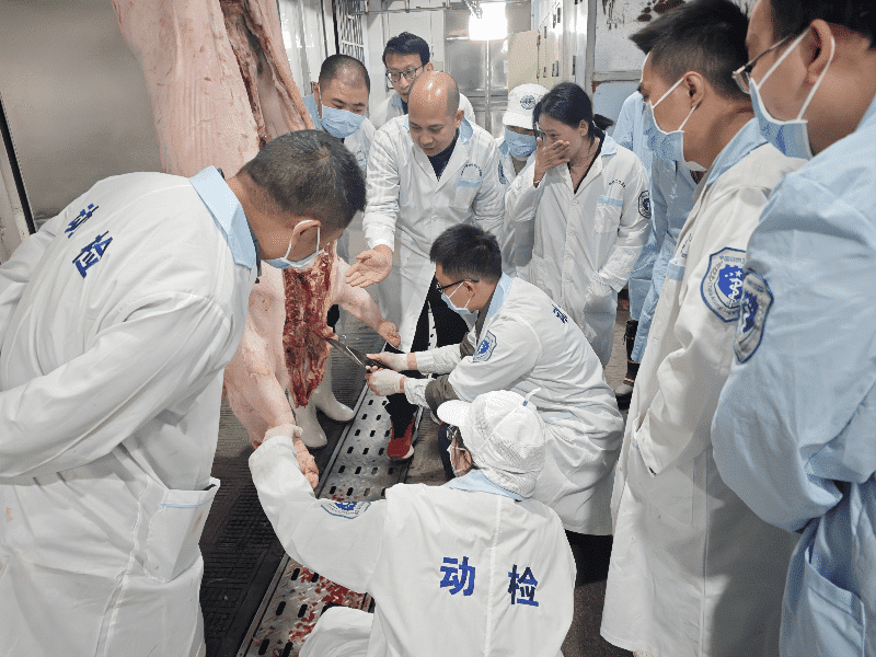 市疫控中心多管齐下锻造高素质动物检疫“铁军”
