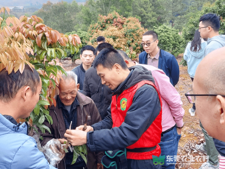 市农科中心科技帮扶揭阳荔枝产业，为乡村振兴注入强劲动力