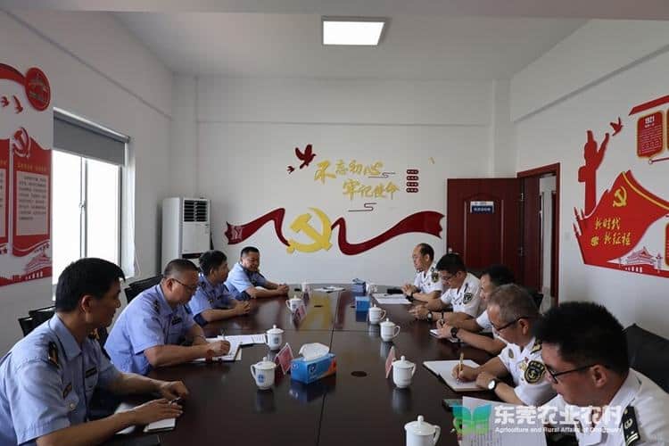 深穗莞深化“商渔共治”执法协作  携手筑牢海上安全防线