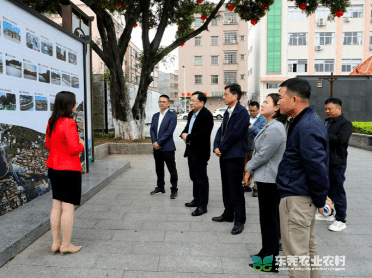 浙江省农业农村厅领导赴东坑调研“百千万工程”