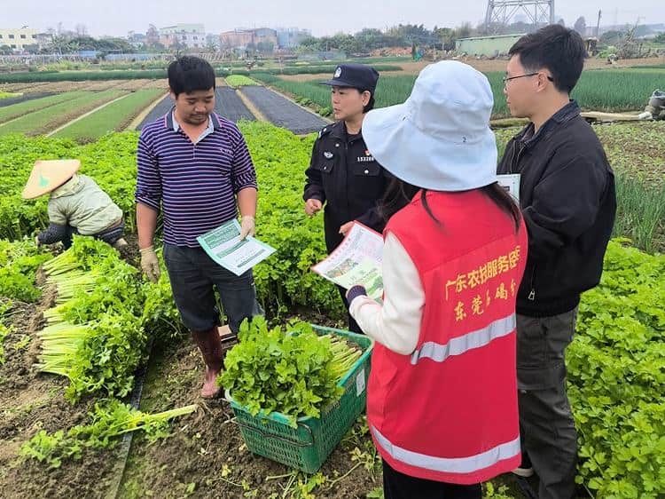 “竭”尽所能，织密农产品质量安全防护网