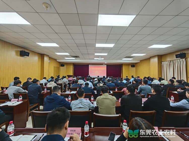 成功举办“浙江未来乡村建设经验”专题培训班