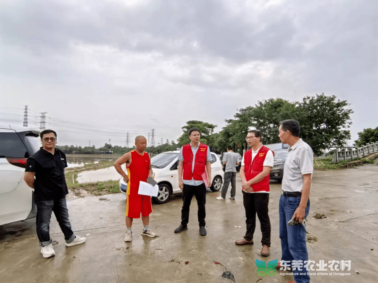 急访中堂2村：“轻骑兵”助力农户减损复产