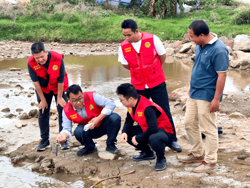 市镇农业科技特派员“轻骑兵”联合指导道滘早稻种植