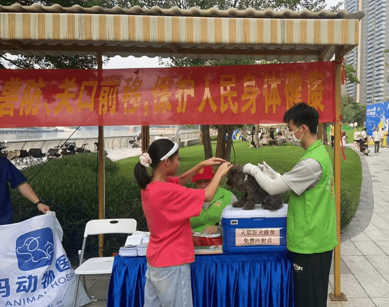圆满收官！万江“摇尾联萌”宠物嘉年华精彩谢幕