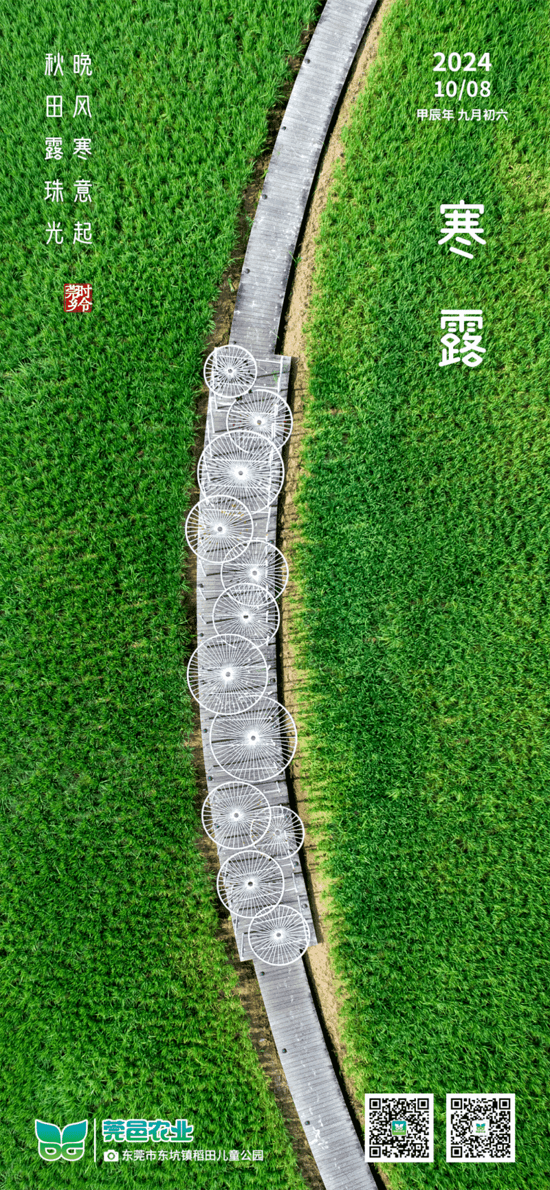 寒露至：晚风添寒意，秋田露凝光