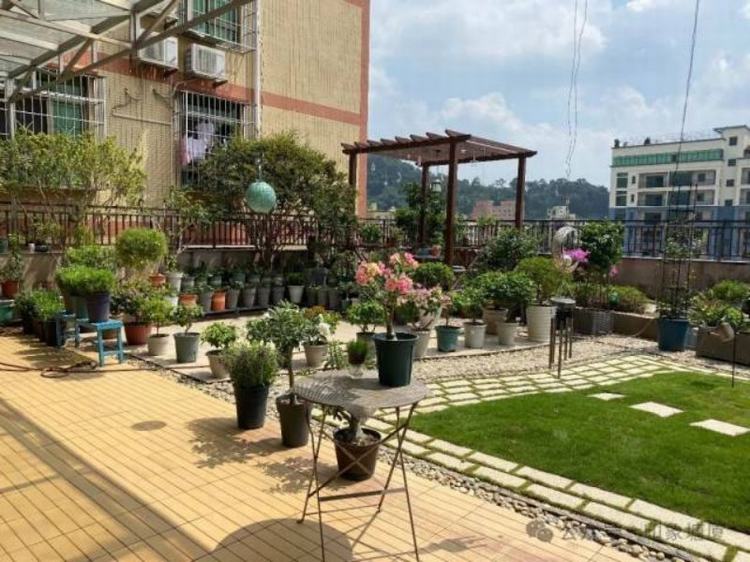 塘厦创新“美丽庭院+经济”模式，扮靓乡村环境