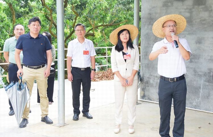 清溪人大开展农业高质量发展专题调研 为“百千万工程”落地见效添动力
