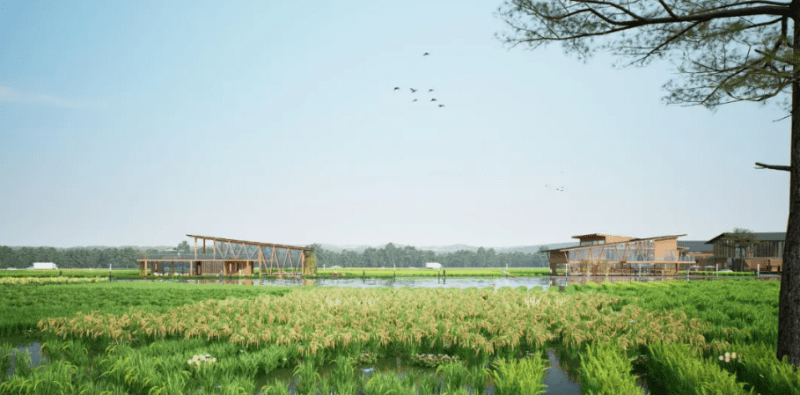 百千万工程赋能！东莞城市中心藏着一片诗意田园——将军洲