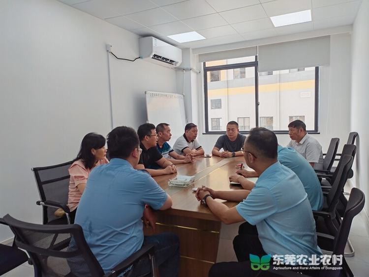 塘厦农技中心赴东南临深片区生猪定点屠宰场助力投产筹备工作