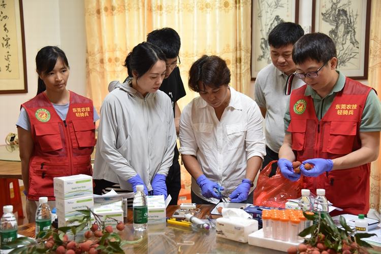 农检“轻骑兵”为荔农送上快速检测“锦囊”