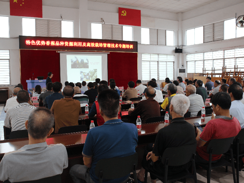 麻涌成功举办特色优势香蕉品种资源利用与高效栽培管理技术培训