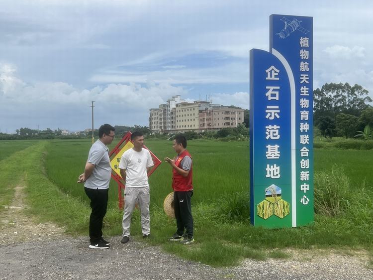 农业科技特派员走进典型村，悉心指导航天水稻种植