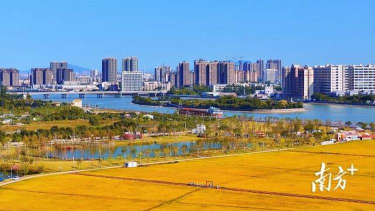 再“遇”丰收季，洪梅农旅绘就好风光