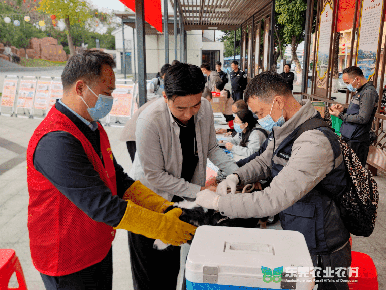 农技“轻骑兵”助力“百千万工程”典型村，精准提供技术服务