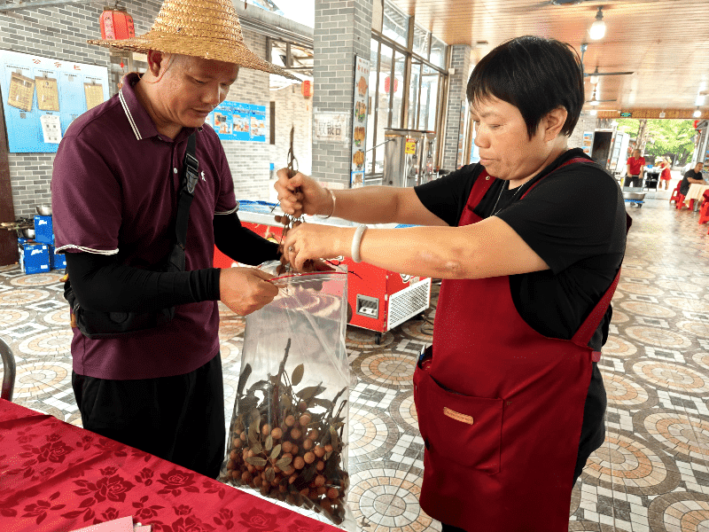道滘启动龙眼风险监测及送检工作