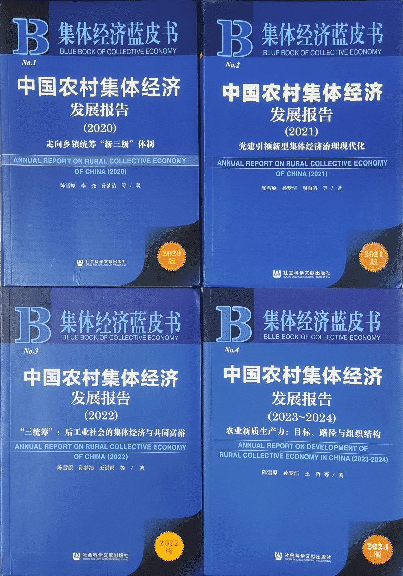 重磅！东莞4个案例入选集体经济蓝皮书