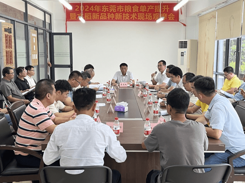 我市举办2024年粮食单产提升及水稻新品种新技术现场观摩会