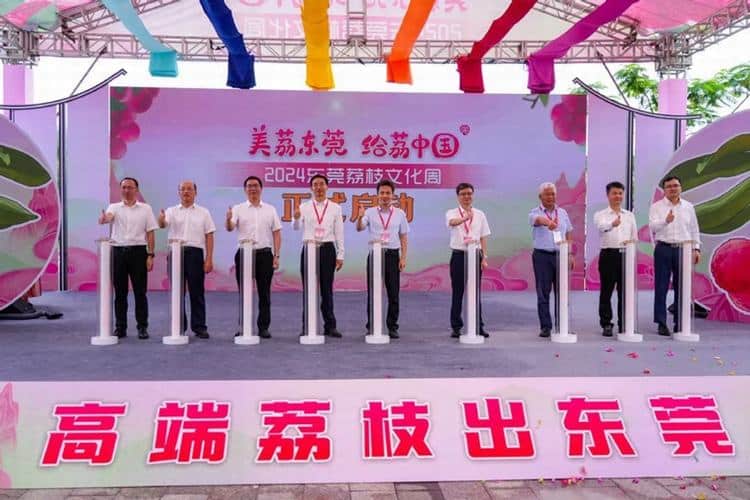 2024东莞荔枝文化周盛大启幕！