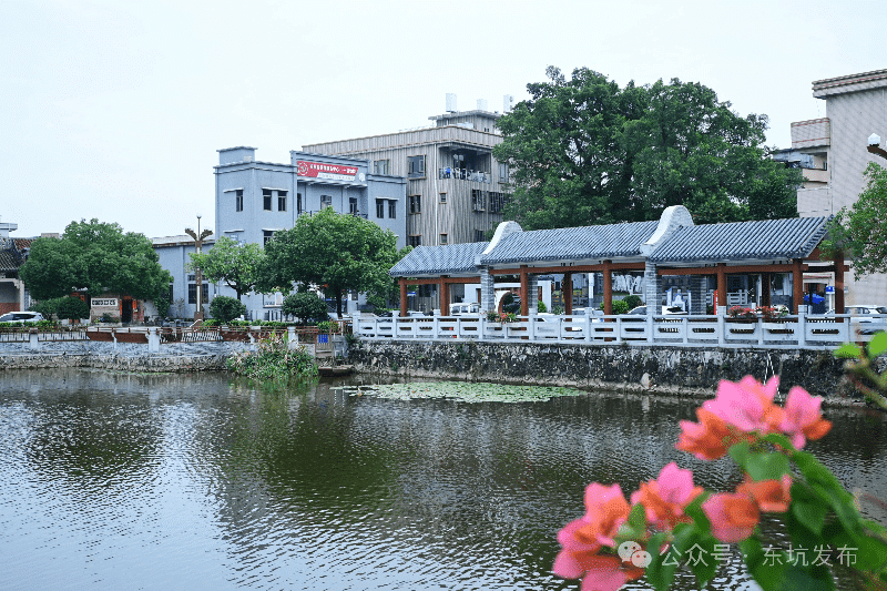 东坑镇按下“快进键”，推动“百千万工程”重点工作提质增效