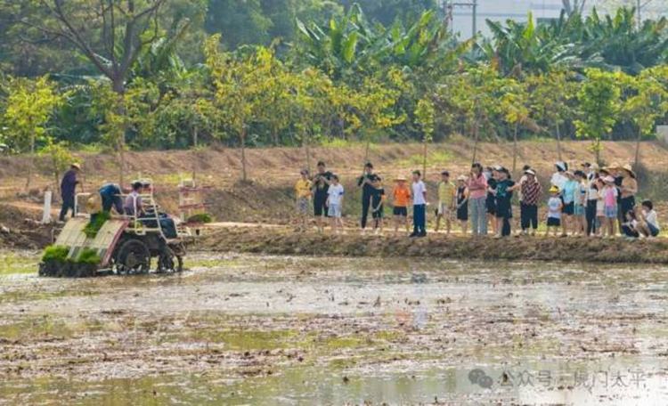 化身快乐小农夫，虎门活动带你“趣”耕春日