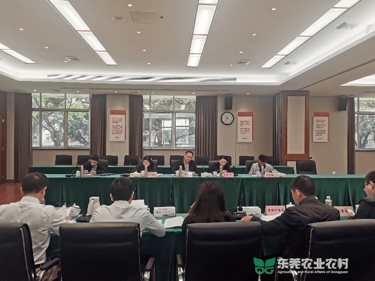 七项举措开展“二手房东”专项整治，成效初显