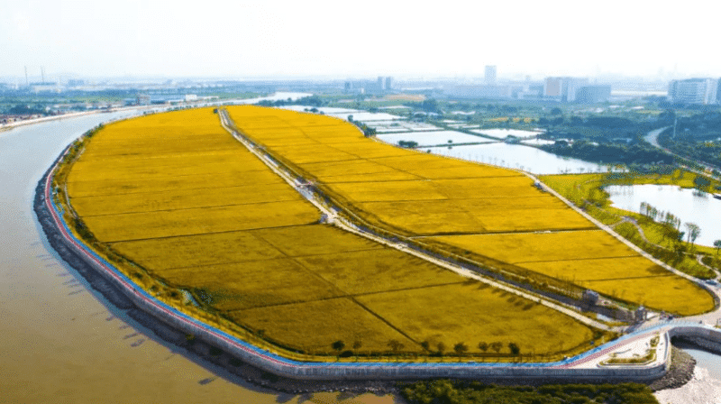 “三生融合”挥毫，共绘耕地保护与城市发展新图景