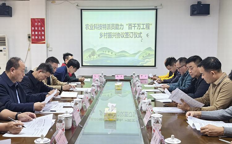 东坑启动组团式服务，为“百千万工程”乡村振兴注入强劲动力