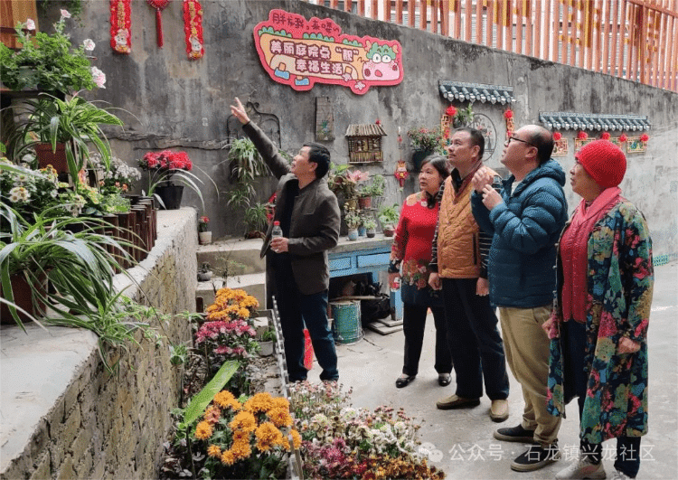 专家亲临石龙兴龙社区指导绿化工作 赋能社区高质量发展