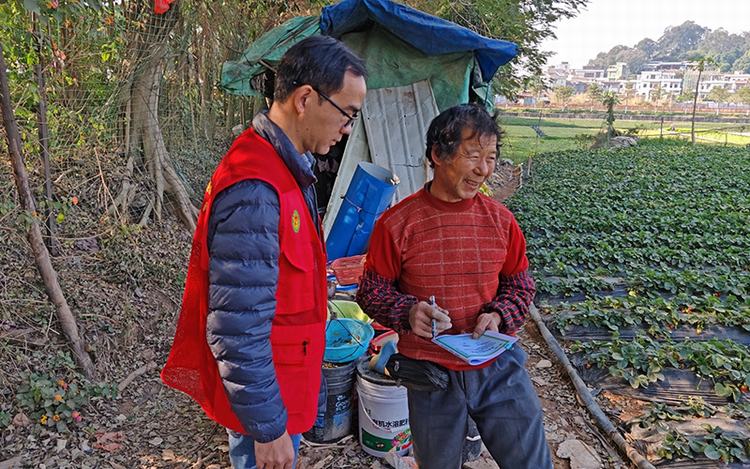 节前保农产品质量安全，茶山农业科技特派员深入基层“护航”