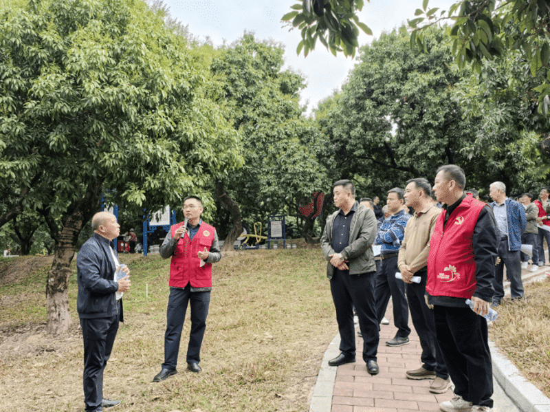 东坑邀农业专家“传经送宝”，助力荔枝种植提质增产