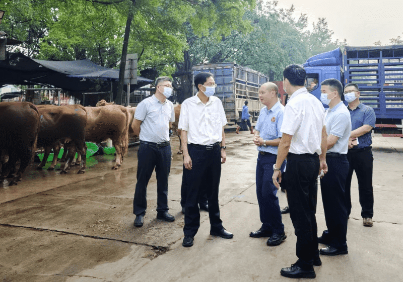 吴美良局长率队赴横沥镇开展工作调研