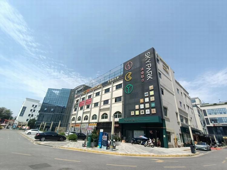大朗镇“三招”发力，助推农村集体经济高质量发展