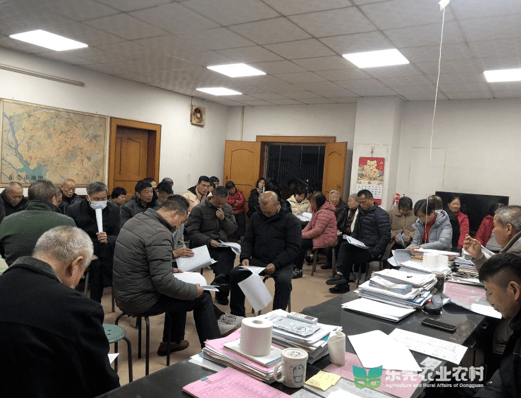 我市村民股东人均分红突破9000元！