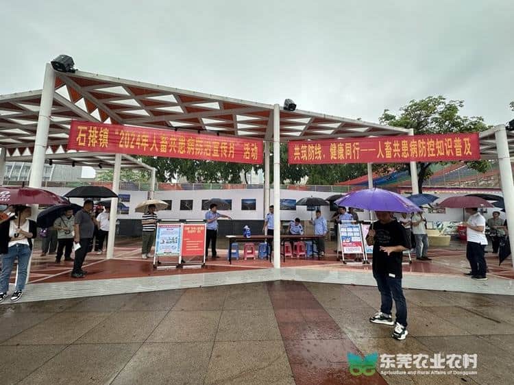 石排镇开启2024年人畜共患病防治宣传月活动