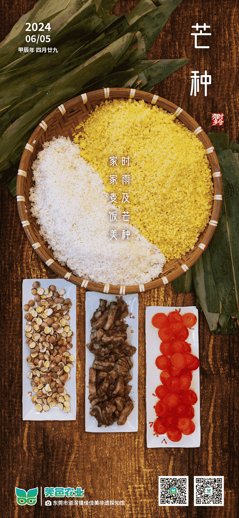 《芒种：时雨润麦，家家麦饭飘香》