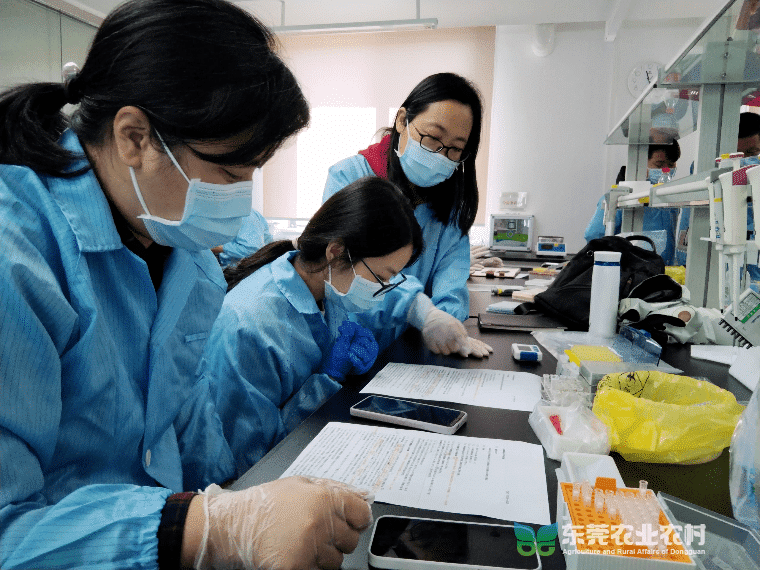 东莞市万江迎来动物疫病监测采样及实验室检测“技术培训直通车”