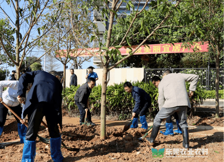 植树增绿聚合力，共绘石龙卷绿美新画卷