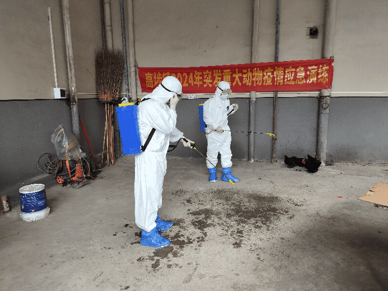 高埗举办2024年重大动物疫情应急演练及动物防疫技能培训班
