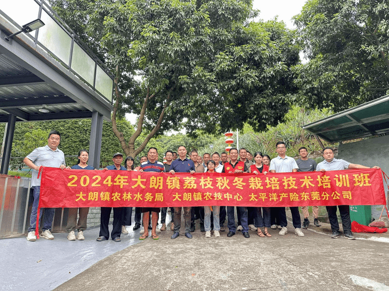 干货来袭！东莞大朗荔枝秋冬季栽培技术培训，促农技与保险保障双升级