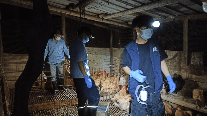 塘厦开启秋季重大动物疫病集中免疫全面行动