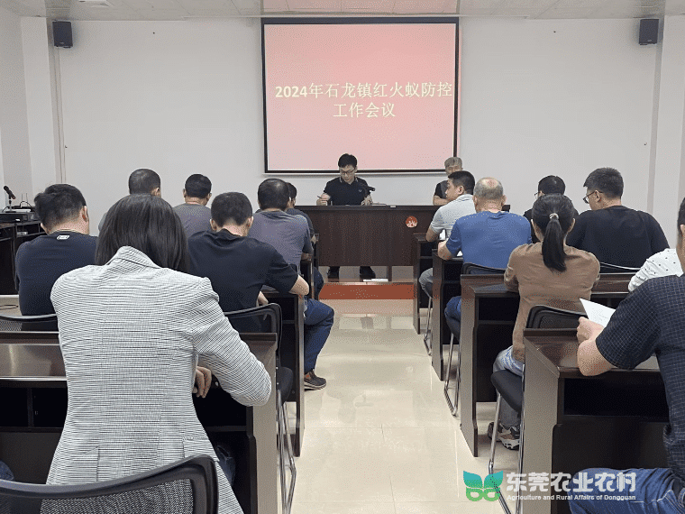 抢抓春季关键期！石龙全力开展红火蚁防控行动