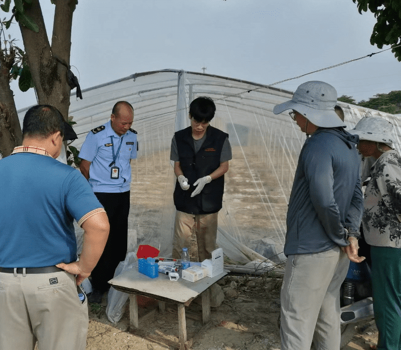 桥头农业部门开展农业执法与农残快检实地学习活动