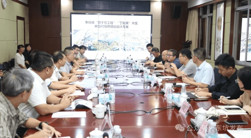 省规划设计专家调研组赴东坑镇，为“百千万工程”精准把脉开良方