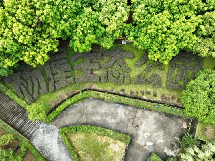 邂逅大岭山杨屋村：自然与人文交织的浪漫之约